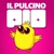 Il pulcino Pio