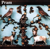 Pram - Cat's Cradle