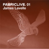 FABRICLIVE 01: James Lavelle (DJ Mix) artwork