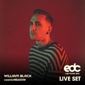 William Black at EDC Las Vegas 2021: Cosmic Meadow Stage (DJ Mix) artwork