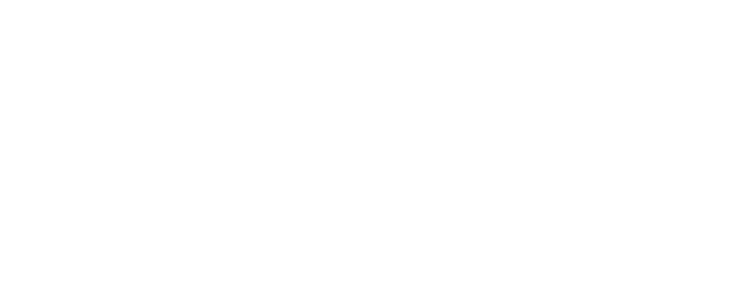 MLS 360