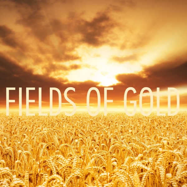 Fields of Gold (feat. Lindsey Stirling) - Single - Peter Hollens & Tyler Ward