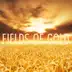 Fields of Gold (feat. Lindsey Stirling) - Single album cover