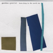 Portico Quartet - Prickly Pear