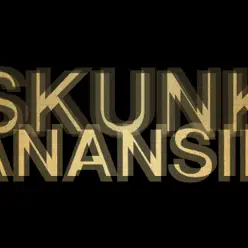 Smashes and Trashes - the Best of the Remixes - Skunk Anansie