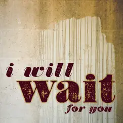 I Will Wait For You (Mumford & Sons Covers) - Single by Gavin Mikhail album reviews, ratings, credits