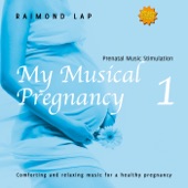 Pregnancy Stimulation artwork