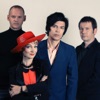 The Primitives