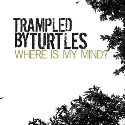Where Is My Mind? - Single - Trampled by Turtles