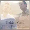 Fields of Gold (A Cappella) [feat. Lindsey Stirling] song lyrics