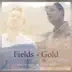 Fields of Gold (A Cappella) [feat. Lindsey Stirling] song reviews