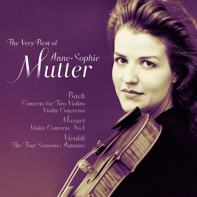 Violin Concerto in A minor BWV1041: I. [Allegro]