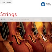 Essential Strings artwork