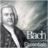 Bach: Essentials - Chorus Viennensis, Concentus Musicus Wien, Nikolaus Harnoncourt & Ton Koopman