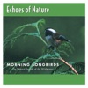 Morning Songbirds, 2009
