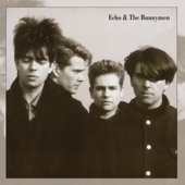 Echo And The Bunnymen - The Game (Acoustic Demo)