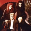 Dead Or Alive