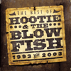 Hootie & The Blowfish - The Best of Hootie & The Blowfish (1993-2003) artwork