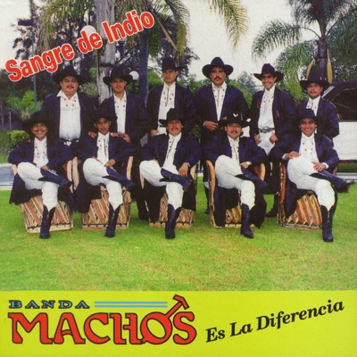 Sangre de Indio - Banda Machos