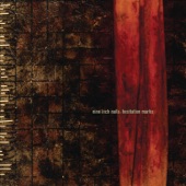 Nine Inch Nails - While I'm Still Here