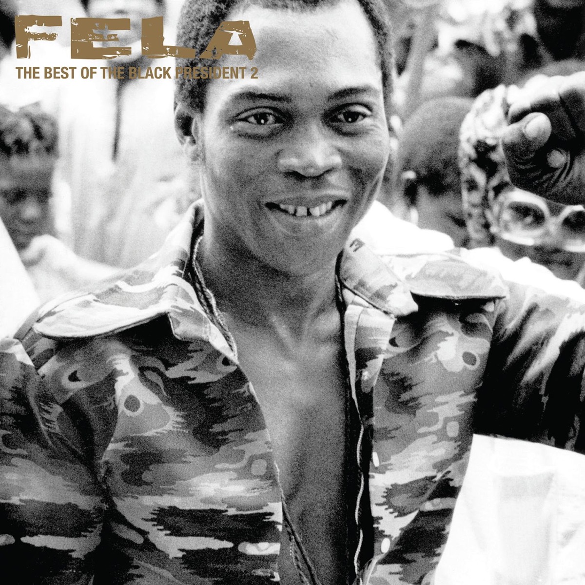 Fela Kuti - The Best of the Black President 2