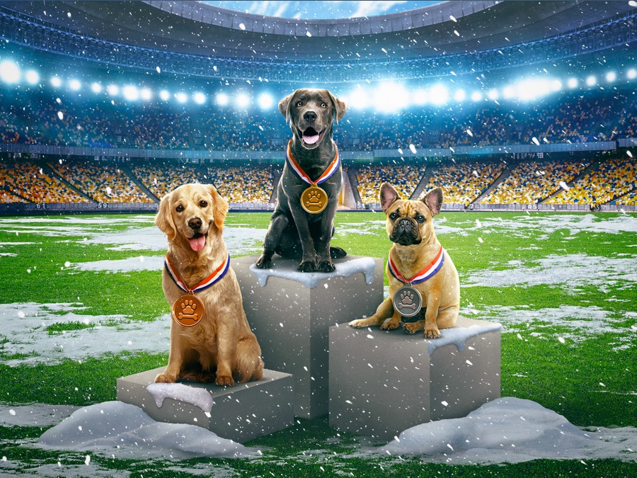 The Dog Games Winter Olympics 2022 Apple TV