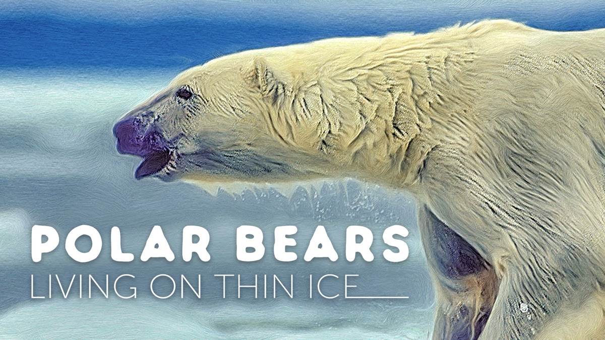 Polar Bears Living on Thin Ice | Apple TV (UK)