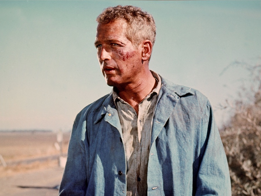 Cool Hand Luke Apple TV IL   1200x675mf 