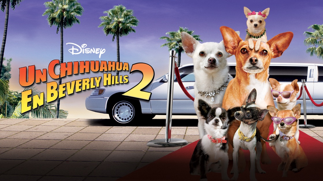 “Un Chihuahua En Beverly Hills 2” En Apple TV