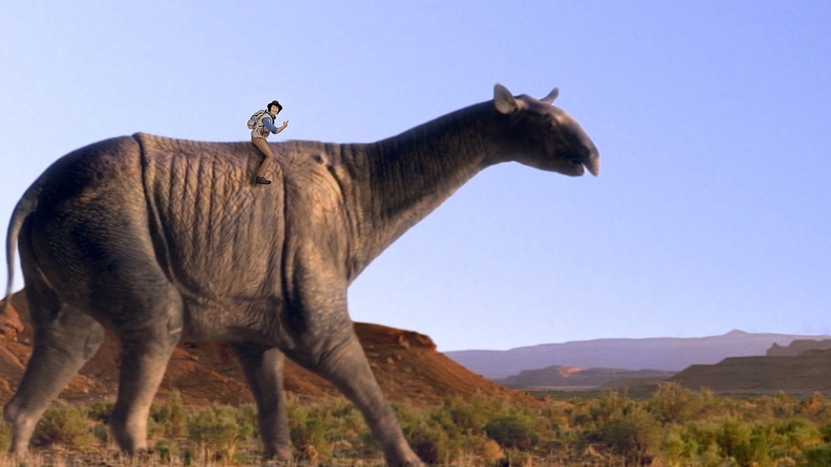 Paraceratherium and Footprint - Andy's Prehistoric Adventures (Season 1 ...