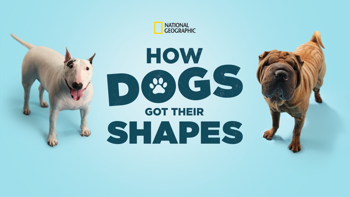 how-dogs-got-their-shapes-apple-tv