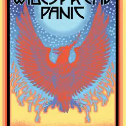 Driving Songs Vol. X: Spring 2011 - Widespread Panic