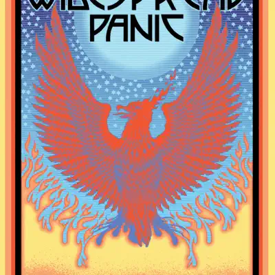 Driving Songs Vol. X: Spring 2011 - Widespread Panic