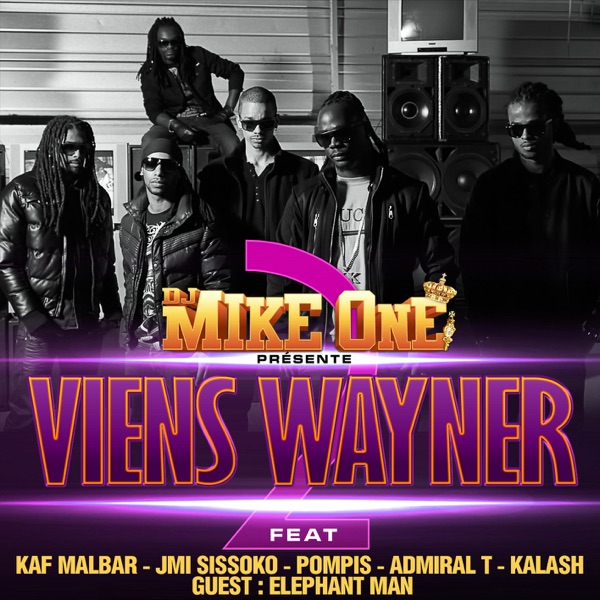 Viens Wayner 2 (feat. Kaf Malbar, Jmi Sissoko, Pompis, Admiral T, Kalash & Elephant Man) - Single - DJ Mike One