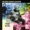Larry Johnson - Walking Blues