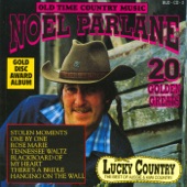 Old Time Country Music - 20 Golden Greats artwork