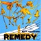 Remedy - Mark Alexander lyrics