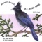 Steller's Jay - John Neville & Mel Coulson lyrics