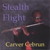 Stealth Flight