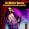 Need My Baby - Big Walter Horton lyrics