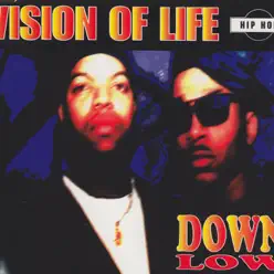 Vision of Life (Remixes) - Down Low