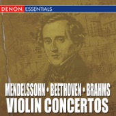 Violin Concerto In e Minor, Op. 64: I. Allegro Molto Appassionato artwork