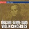 Violin Concerto In e Minor, Op. 64: I. Allegro Molto Appassionato artwork