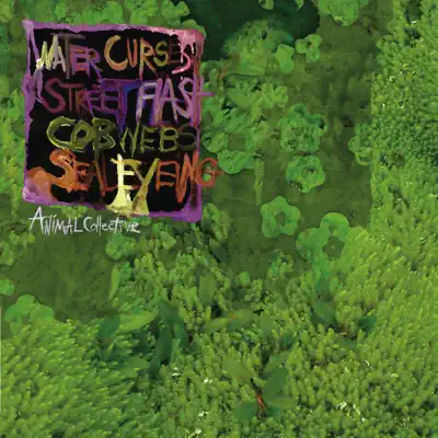 Water Curses - EP - Animal Collective