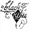 Black Kites - EP album lyrics, reviews, download