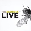 The Newbees - Ball of Confusion (That's What the World is Today)