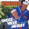 Sneekweek Medley - EP