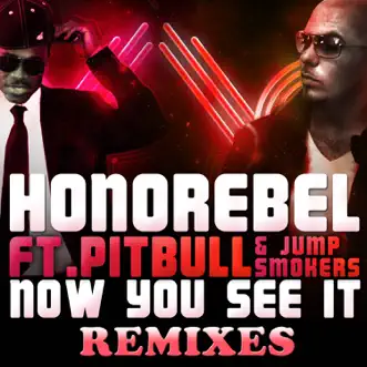 Now You See It (Benny Benassi Dub Remix) [feat. Pitbull & Jump Smokers] by Honorebel song reviws