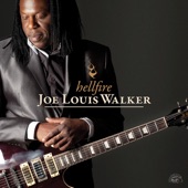 Joe Louis Walker - Too Drunk to Drive Drunk