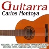 Guitarra Española